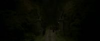 EdP-Potterish2614.jpg