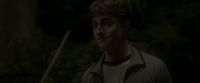 EdP-Potterish2745.jpg