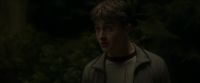 EdP-Potterish2761.jpg