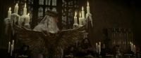 EdP-Potterish2875.jpg
