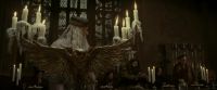 EdP-Potterish2878.jpg