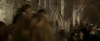EdP-Potterish3063.jpg