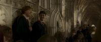 EdP-Potterish3064.jpg