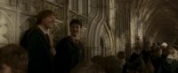 EdP-Potterish3065.jpg