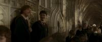 EdP-Potterish3066.jpg