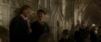 EdP-Potterish3067.jpg