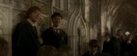 EdP-Potterish3068.jpg