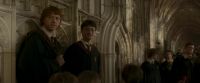 EdP-Potterish3070.jpg