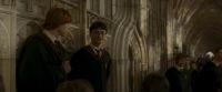 EdP-Potterish3071.jpg