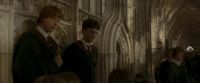 EdP-Potterish3072.jpg