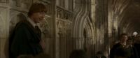EdP-Potterish3074.jpg