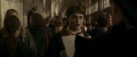 EdP-Potterish3083.jpg