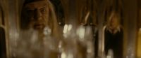 EdP-Potterish3713.jpg