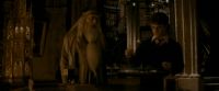 EdP-Potterish3762.jpg