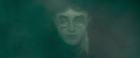 EdP-Potterish3775.jpg