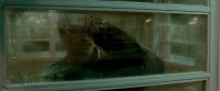EdP-Potterish378.jpg