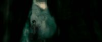 EdP-Potterish4038.jpg