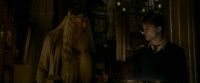 EdP-Potterish4100.jpg