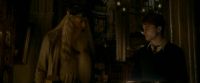 EdP-Potterish4101.jpg