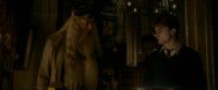 EdP-Potterish4102.jpg