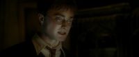 EdP-Potterish4127.jpg