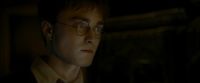 EdP-Potterish4148.jpg