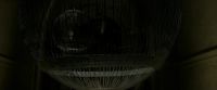 EdP-Potterish4166.jpg