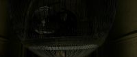 EdP-Potterish4167.jpg