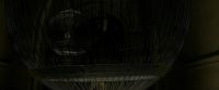 EdP-Potterish4169.jpg