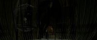 EdP-Potterish4180.jpg