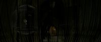 EdP-Potterish4181.jpg