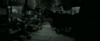 EdP-Potterish4215.jpg