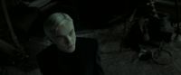 EdP-Potterish4255.jpg