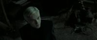 EdP-Potterish4256.jpg
