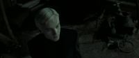 EdP-Potterish4258.jpg