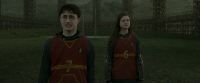 EdP-Potterish4285.jpg