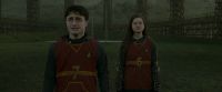 EdP-Potterish4286.jpg