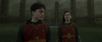 EdP-Potterish4320.jpg