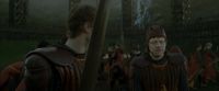 EdP-Potterish4375.jpg
