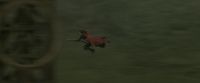 EdP-Potterish4474.jpg