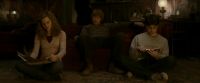 EdP-Potterish4546.jpg