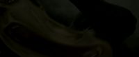 EdP-Potterish459.jpg