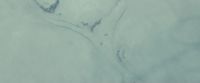 EdP-Potterish4655.jpg