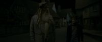 EdP-Potterish470.jpg