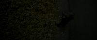 EdP-Potterish492.jpg