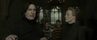 EdP-Potterish5133.jpg