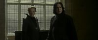 EdP-Potterish5171.jpg