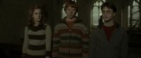 EdP-Potterish5180.jpg