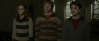 EdP-Potterish5194.jpg