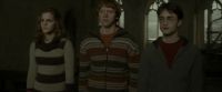 EdP-Potterish5195.jpg